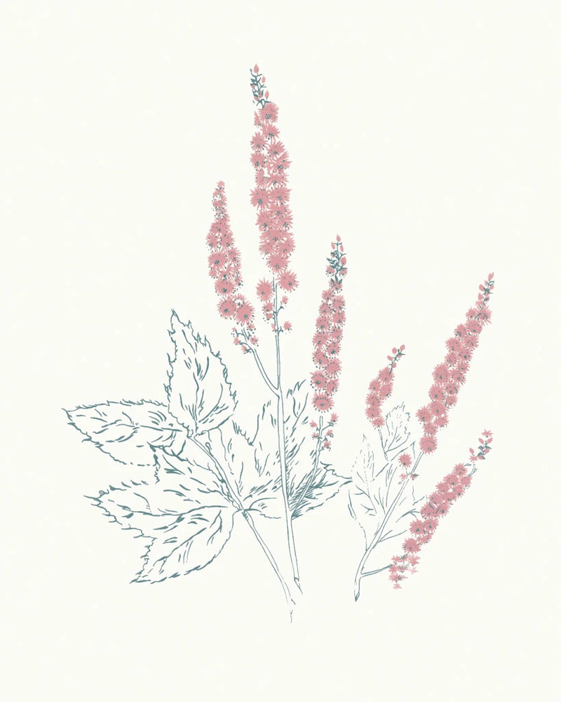 Flowers on White VII Contemporary Bright by Wild Apple Portfolio