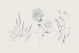 Flowers on White VIII Blue by Wild Apple Portfolio. SKU 78211i. Archival Giclee Fine art print for wall decor.