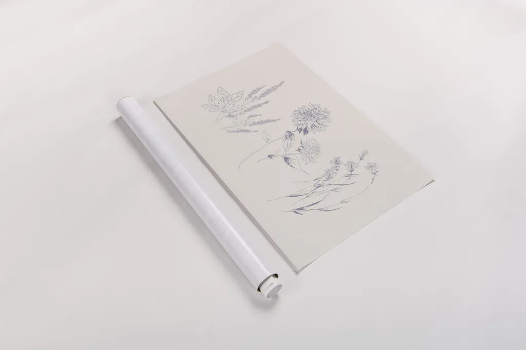 Flowers on White VIII Blue by Wild Apple Portfolio. shown as a rolled paper print. Available as archival giclee rolled canvas, fine art paper, or poster print. SKU 78211i.