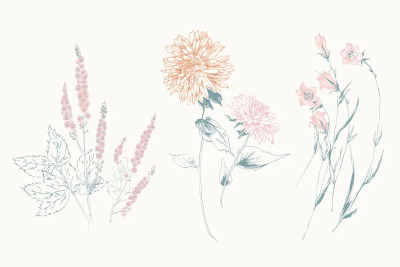 Flowers on White VIII Contemporary by Wild Apple Portfolio. SKU 44429i. Archival Giclee Fine art print for wall decor.