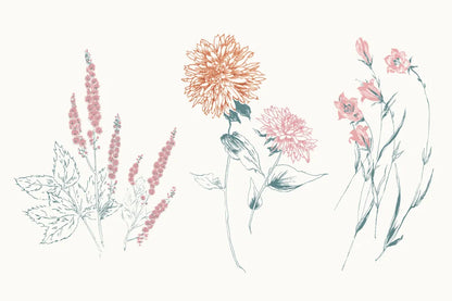 Flowers on White VIII Contemporary Bright by Wild Apple Portfolio. SKU 48806i. Archival Giclee Fine art print for wall decor.