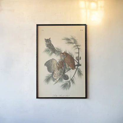 Forest Owls I by Wild Apple Portfolio. shown as a paper print in a black flame. Available as a archival giclee rolled canvas, fine art paper, or poster print. SKU 90746h.