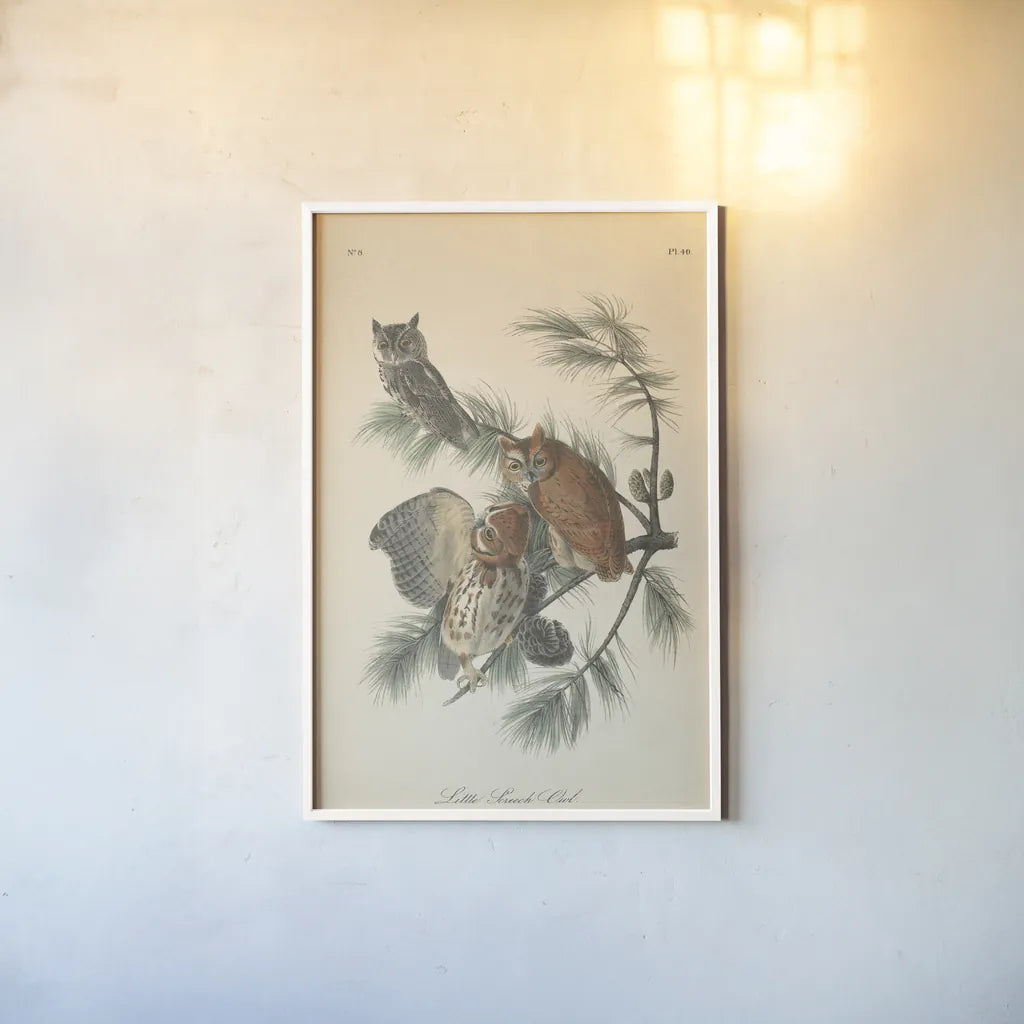 Forest Owls I by Wild Apple Portfolio. shown as a paper print in a white frame. Available as a archival giclee rolled canvas, fine art paper, or poster print. SKU 90746h.