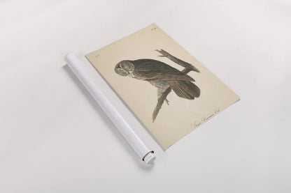 Forest Owls II by Wild Apple Portfolio. shown as a rolled paper print. Available as archival giclee rolled canvas, fine art paper, or poster print. SKU 90747h.