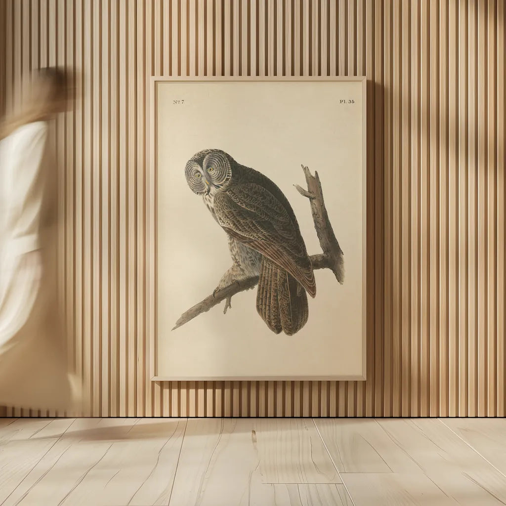 Forest Owls II by Wild Apple Portfolio. shown as over sized large wall art. Available as an archival giclee rolled canvas, fine art paper, or poster print. SKU 90747h.