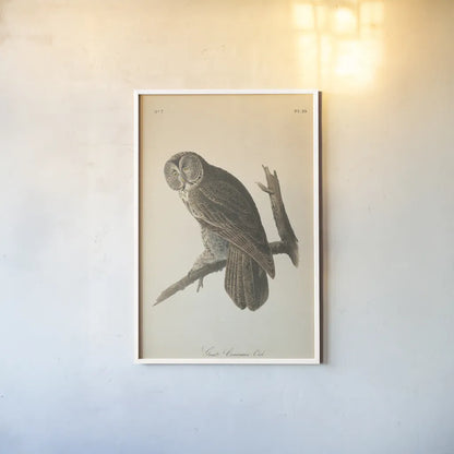 Forest Owls II by Wild Apple Portfolio. shown as a paper print in a white frame. Available as a archival giclee rolled canvas, fine art paper, or poster print. SKU 90747h.