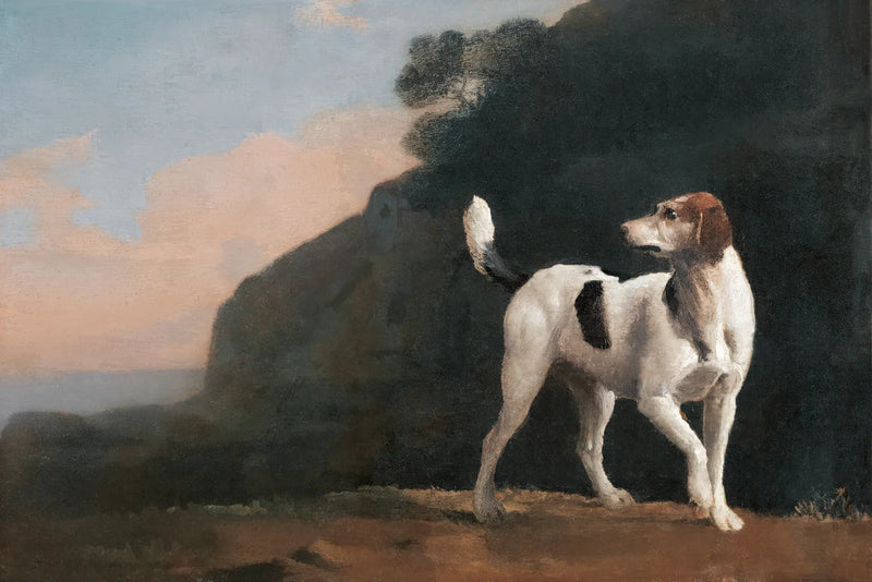 Foxhound II by Wild Apple Portfolio