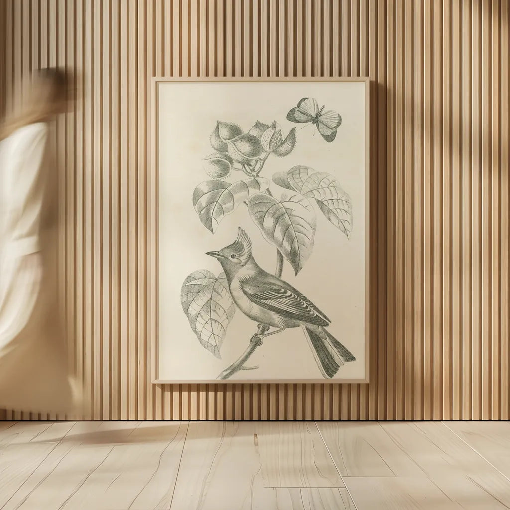 French Bird Drawing by Wild Apple Portfolio. shown as over sized large wall art. Available as an archival giclee rolled canvas, fine art paper, or poster print. SKU 76127h.