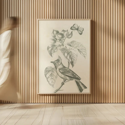 French Bird Drawing by Wild Apple Portfolio. shown as over sized large wall art. Available as an archival giclee rolled canvas, fine art paper, or poster print. SKU 76127h.