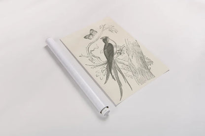 French Bird Etching by Wild Apple Portfolio. shown as a rolled paper print. Available as archival giclee rolled canvas, fine art paper, or poster print. SKU 81935h.