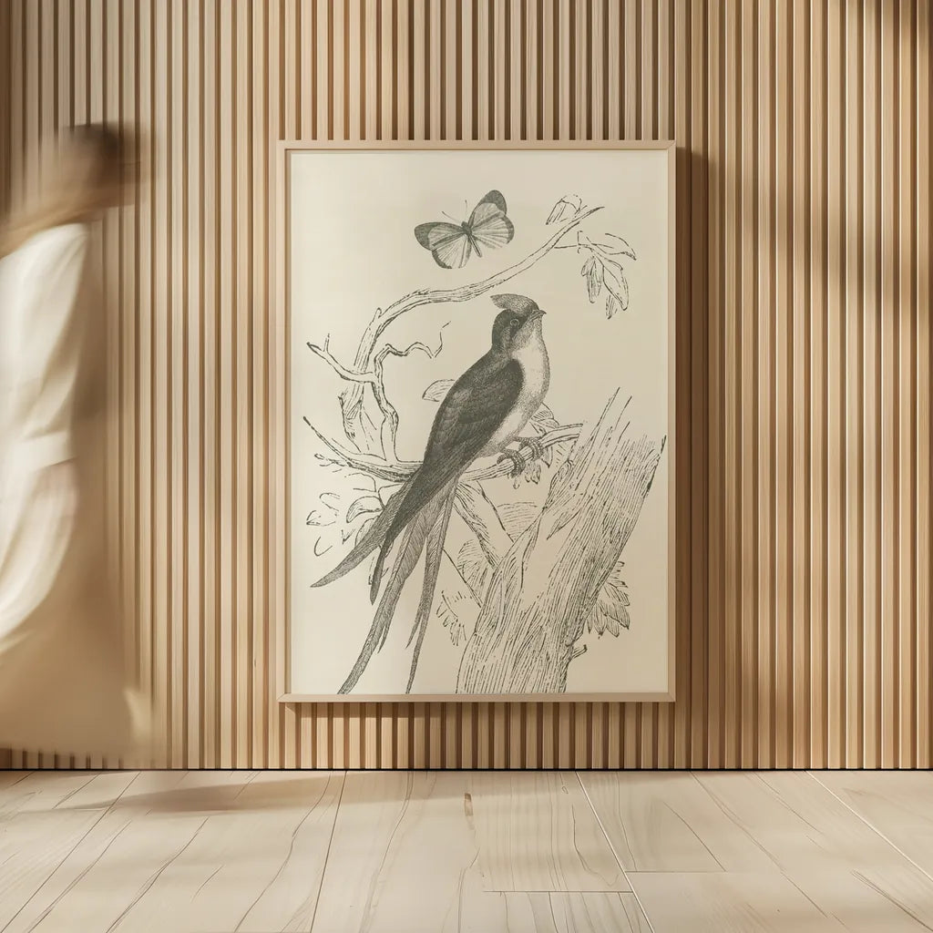French Bird Etching by Wild Apple Portfolio. shown as over sized large wall art. Available as an archival giclee rolled canvas, fine art paper, or poster print. SKU 81935h.