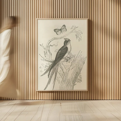 French Bird Etching by Wild Apple Portfolio. shown as over sized large wall art. Available as an archival giclee rolled canvas, fine art paper, or poster print. SKU 81935h.