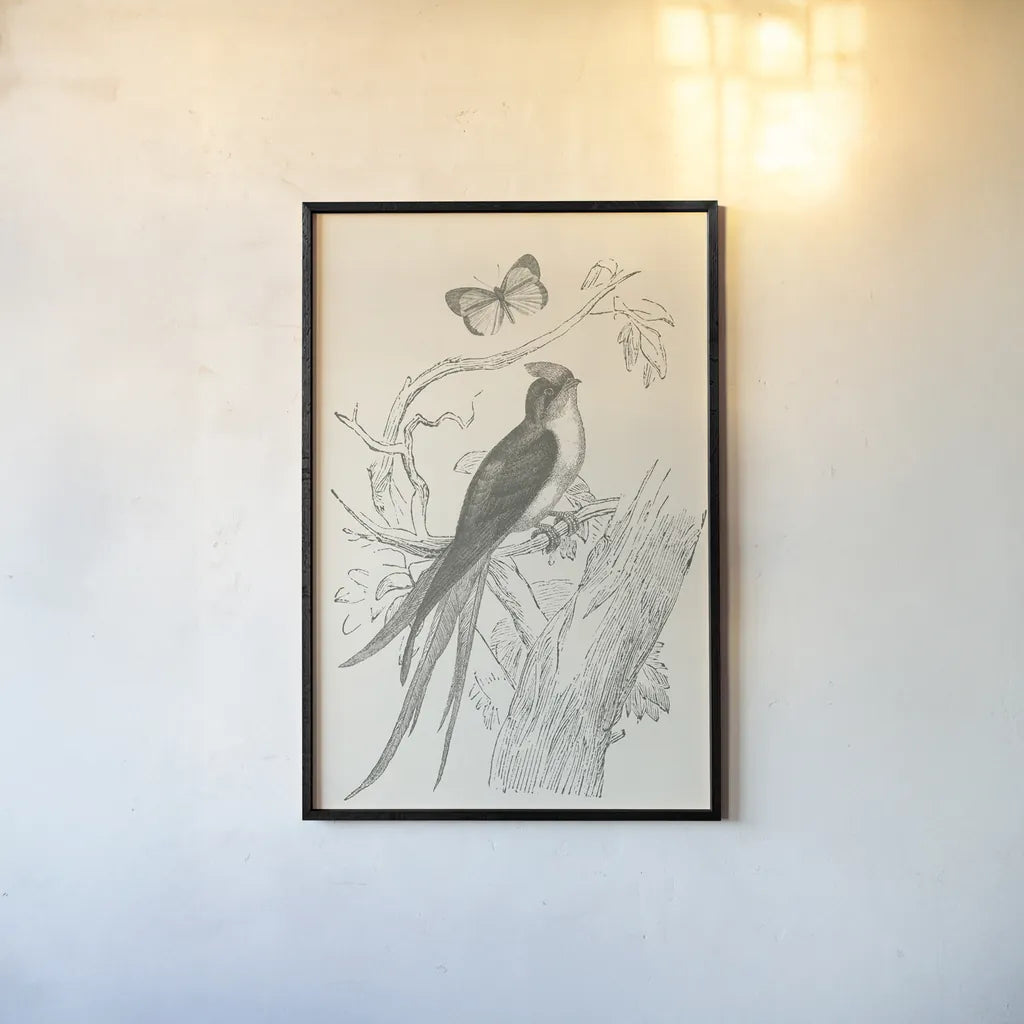 French Bird Etching by Wild Apple Portfolio. shown as a paper print in a black flame. Available as a archival giclee rolled canvas, fine art paper, or poster print. SKU 81935h.