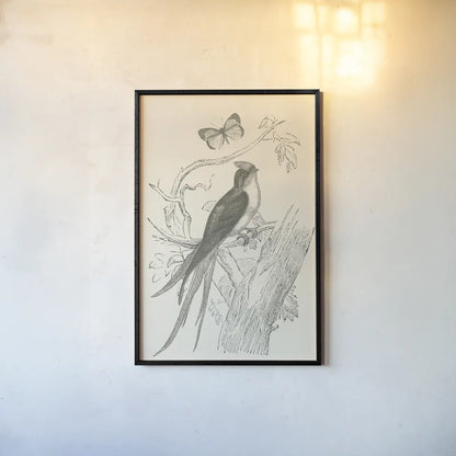 French Bird Etching by Wild Apple Portfolio. shown as a paper print in a black flame. Available as a archival giclee rolled canvas, fine art paper, or poster print. SKU 81935h.