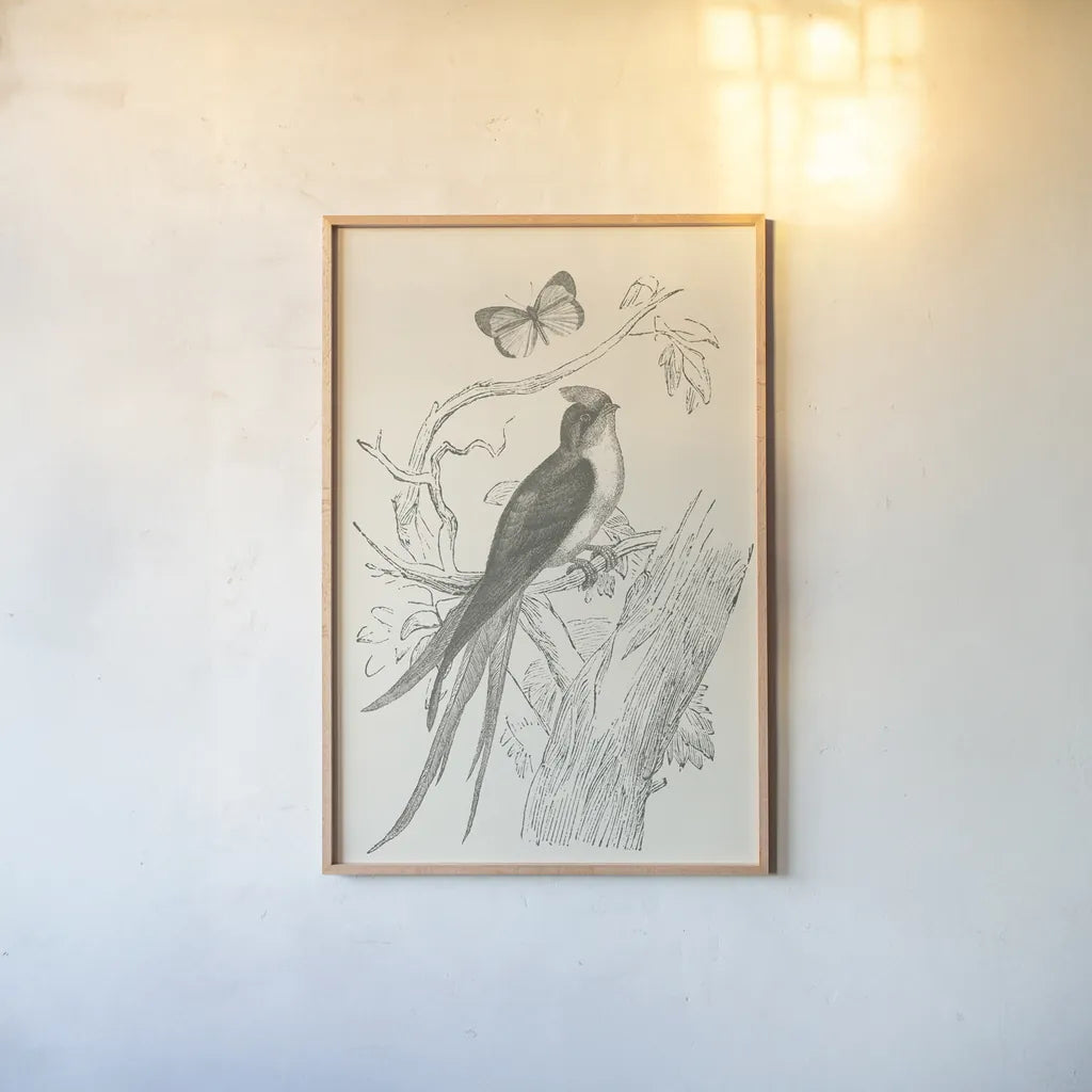 French Bird Etching by Wild Apple Portfolio. shown as a paper print in a natural frame. Available as a archival giclee rolled canvas, fine art paper, or poster print. SKU 81935h.
