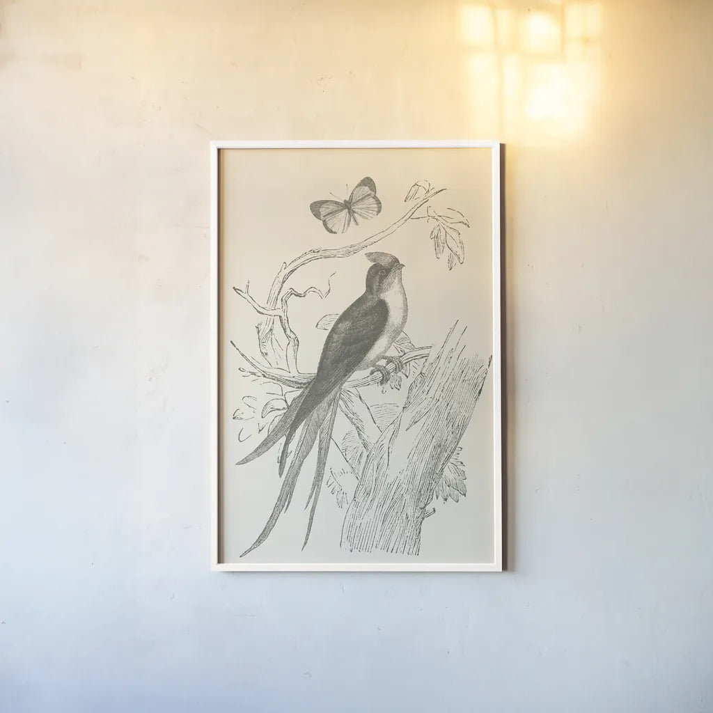 French Bird Etching by Wild Apple Portfolio. shown as a paper print in a white frame. Available as a archival giclee rolled canvas, fine art paper, or poster print. SKU 81935h.