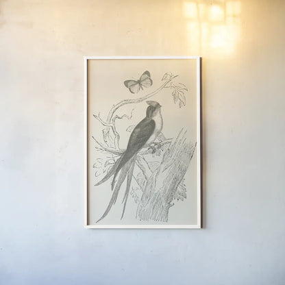 French Bird Etching by Wild Apple Portfolio. shown as a paper print in a white frame. Available as a archival giclee rolled canvas, fine art paper, or poster print. SKU 81935h.
