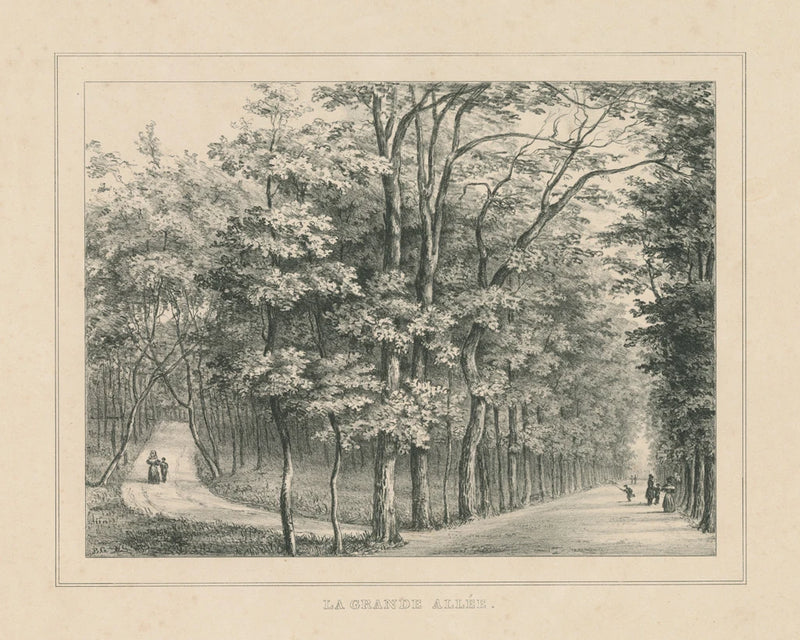 French Park Etching II by Wild Apple Portfolio
