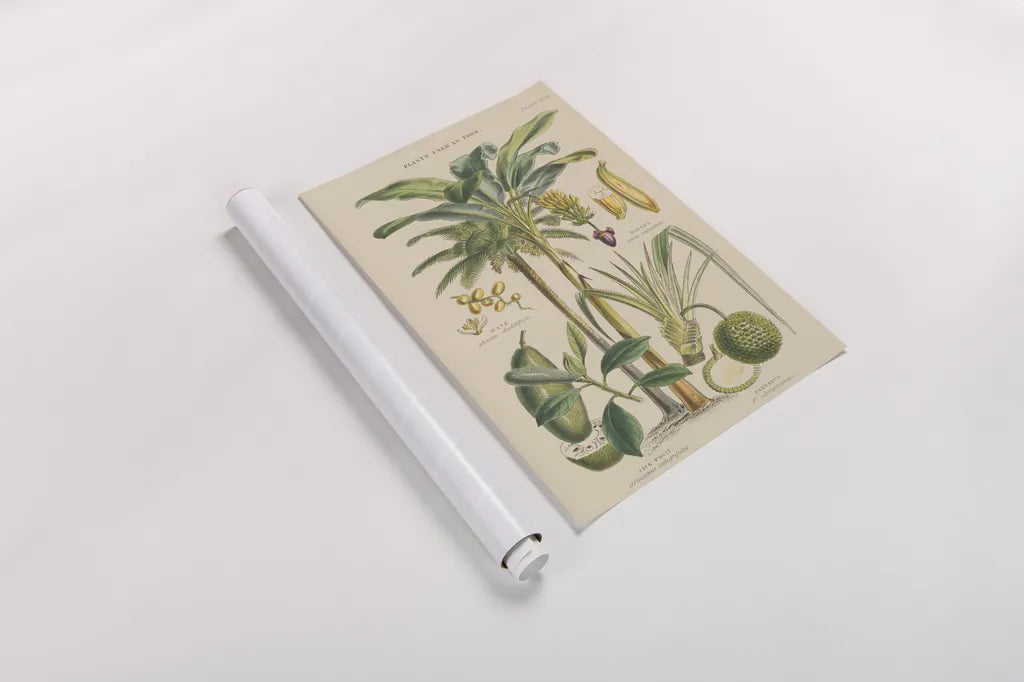 Fruit Trees by Wild Apple Portfolio. shown as a rolled paper print. Available as archival giclee rolled canvas, fine art paper, or poster print. SKU 52060h.