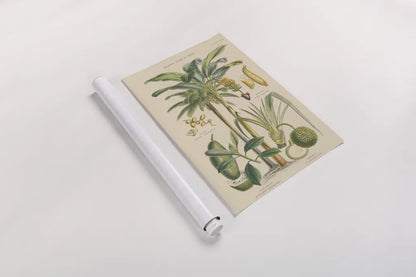 Fruit Trees by Wild Apple Portfolio. shown as a rolled paper print. Available as archival giclee rolled canvas, fine art paper, or poster print. SKU 52060h.