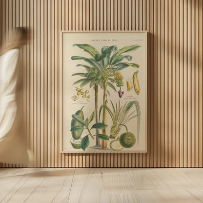 Fruit Trees by Wild Apple Portfolio. shown as over sized large wall art. Available as an archival giclee rolled canvas, fine art paper, or poster print. SKU 52060h.