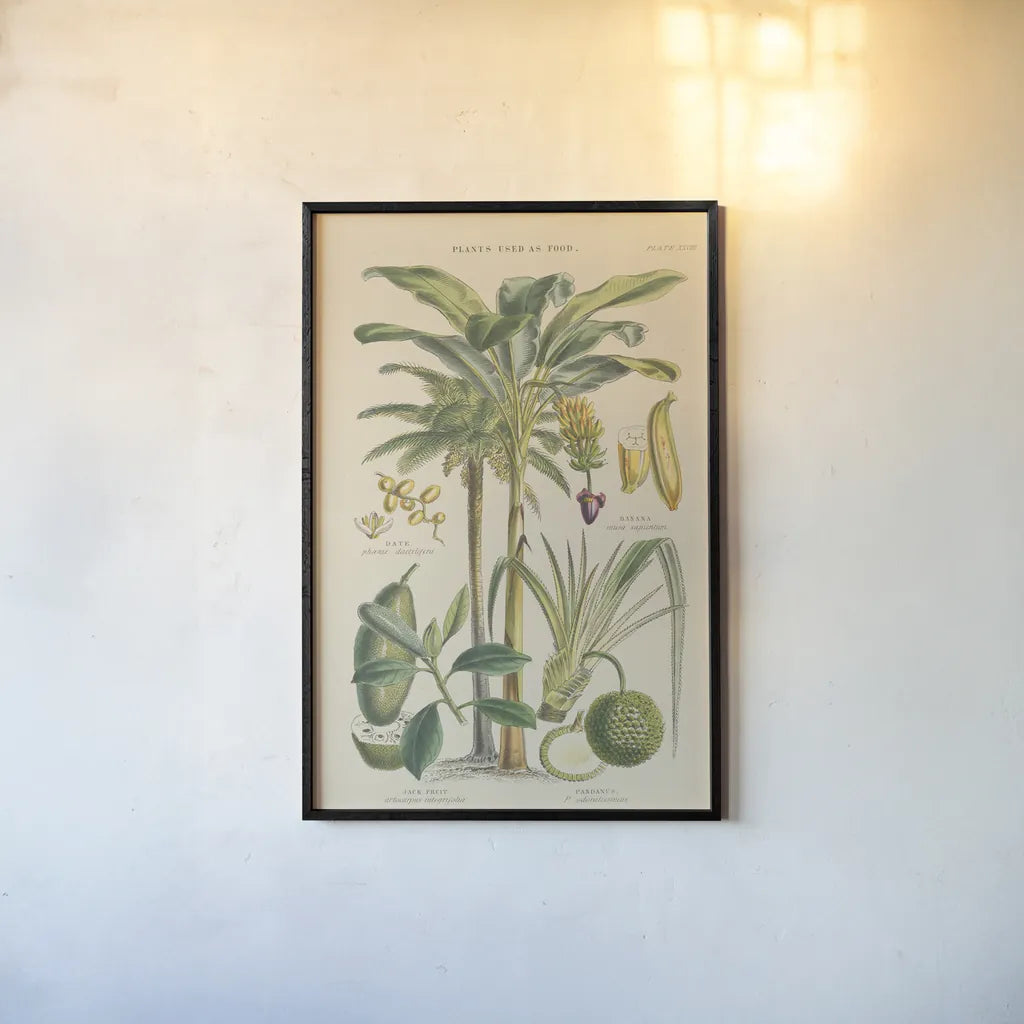 Fruit Trees by Wild Apple Portfolio. shown as a paper print in a black flame. Available as a archival giclee rolled canvas, fine art paper, or poster print. SKU 52060h.