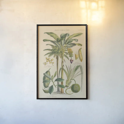 Fruit Trees by Wild Apple Portfolio. shown as a paper print in a black flame. Available as a archival giclee rolled canvas, fine art paper, or poster print. SKU 52060h.