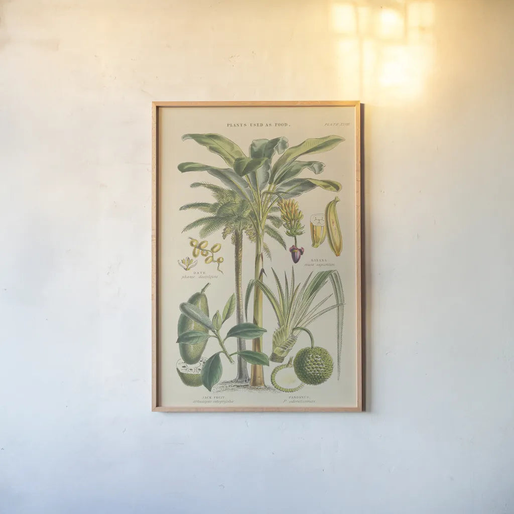 Fruit Trees by Wild Apple Portfolio. shown as a paper print in a natural frame. Available as a archival giclee rolled canvas, fine art paper, or poster print. SKU 52060h.