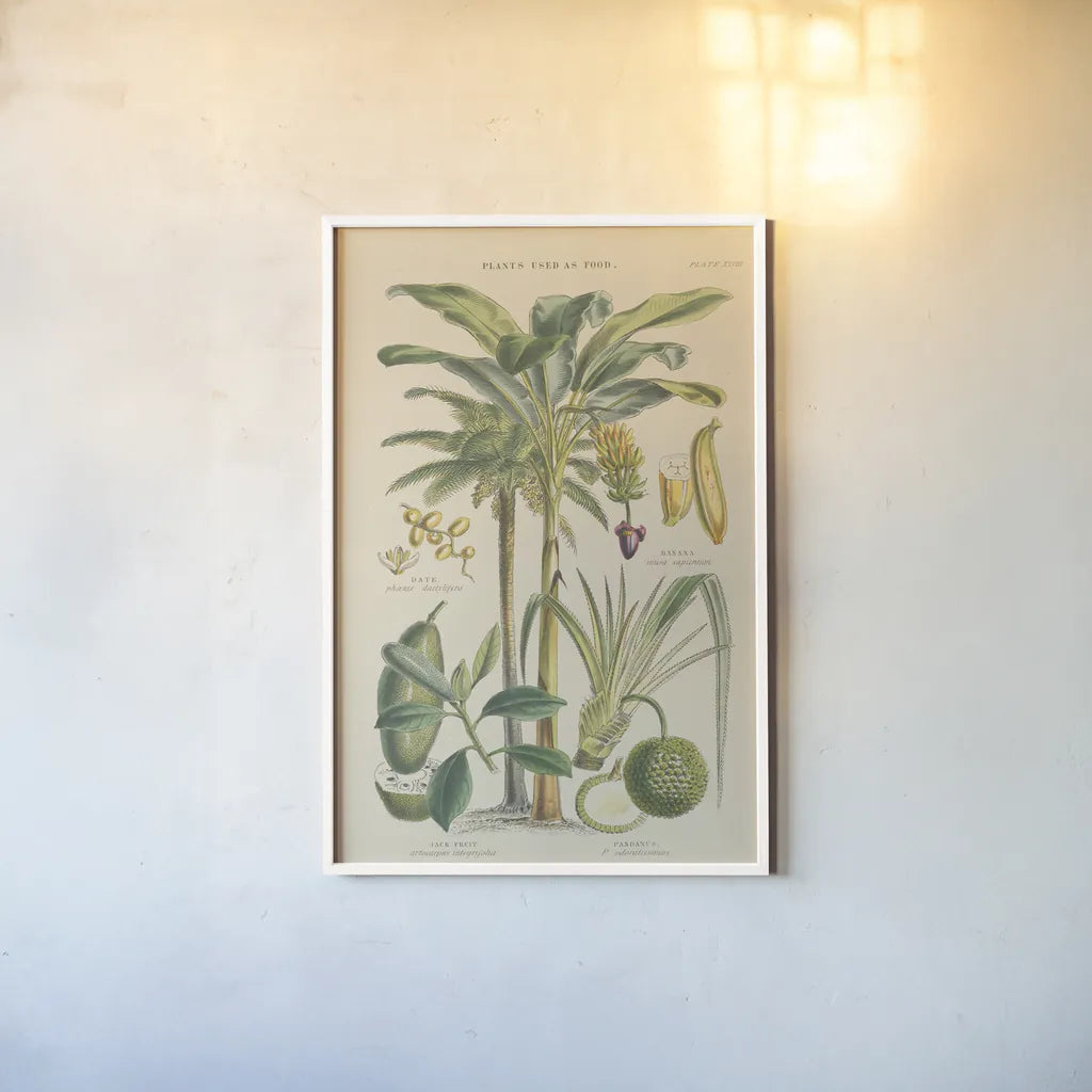 Fruit Trees by Wild Apple Portfolio. shown as a paper print in a white frame. Available as a archival giclee rolled canvas, fine art paper, or poster print. SKU 52060h.