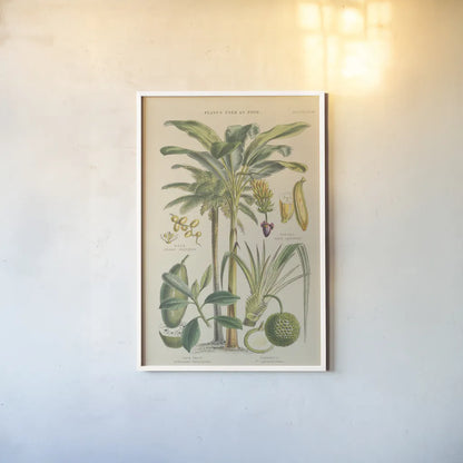 Fruit Trees by Wild Apple Portfolio. shown as a paper print in a white frame. Available as a archival giclee rolled canvas, fine art paper, or poster print. SKU 52060h.