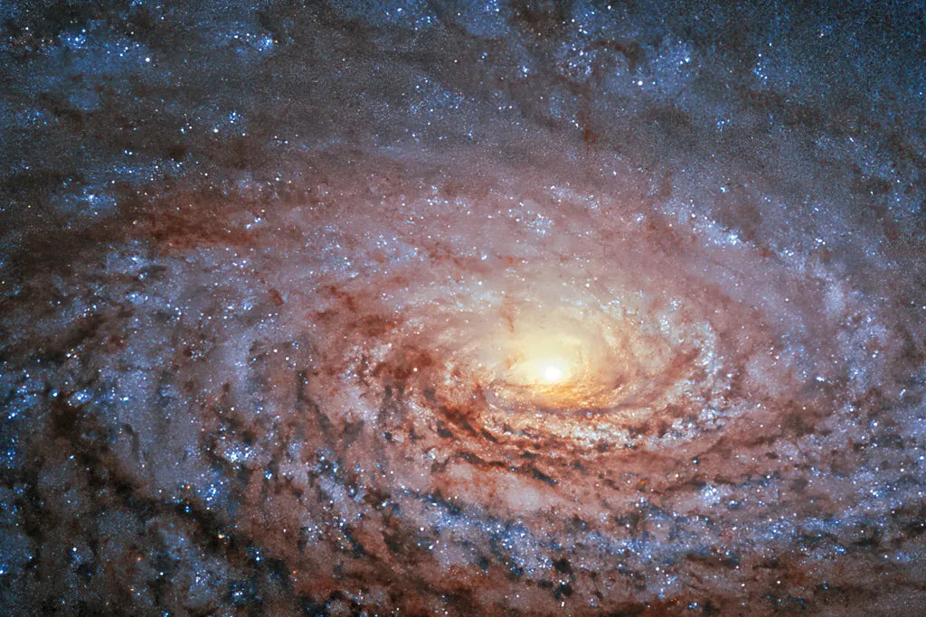 Galactic Sunflower by Wild Apple Portfolio. SKU 89790i. Archival Giclee Fine art print for wall decor.