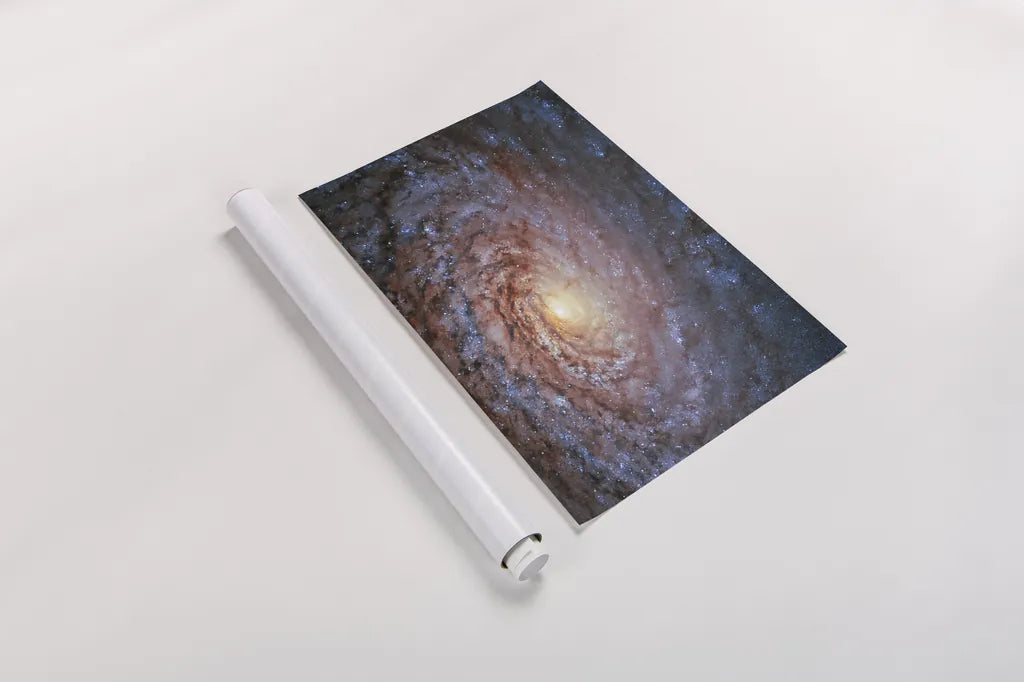 Galactic Sunflower by Wild Apple Portfolio. shown as a rolled paper print. Available as archival giclee rolled canvas, fine art paper, or poster print. SKU 89790i.