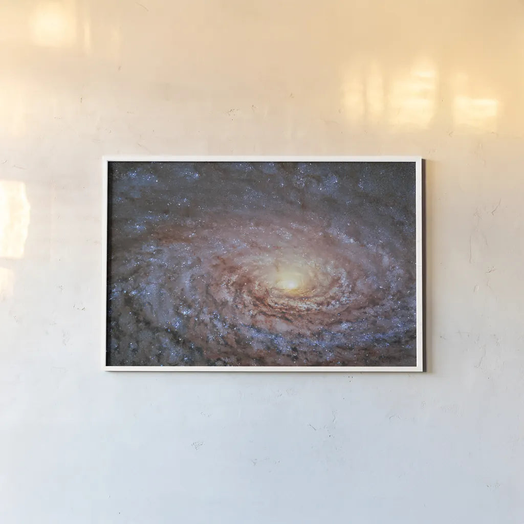 Galactic Sunflower by Wild Apple Portfolio. shown as a paper print in a white frame. Available as a archival giclee rolled canvas, fine art paper, or poster print. SKU 89790i.