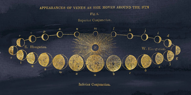 Geography of the Heavens II Blue Gold by Wild Apple Portfolio