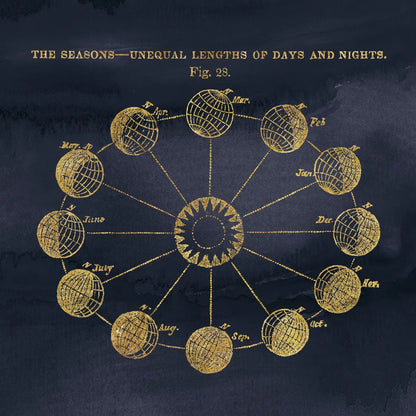 Geography of the Heavens VII Blue Gold by Wild Apple Portfolio. SKU 37308a. Archival Giclee Fine art print for wall decor.