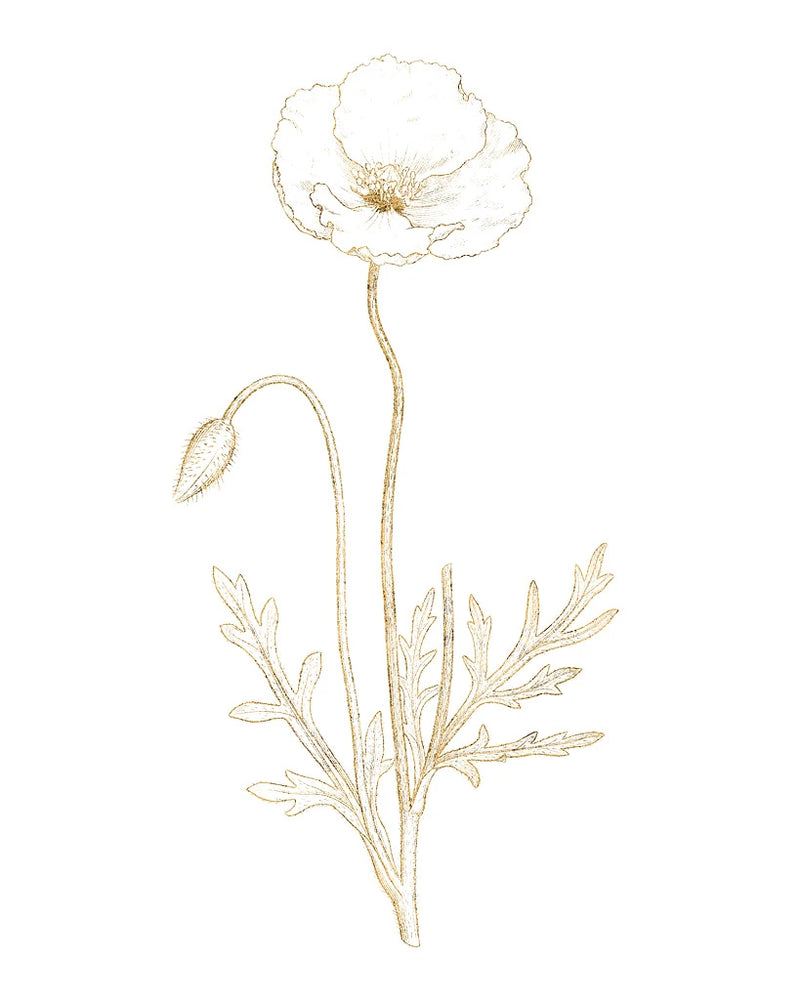 Gilded Botanical I by Wild Apple Portfolio