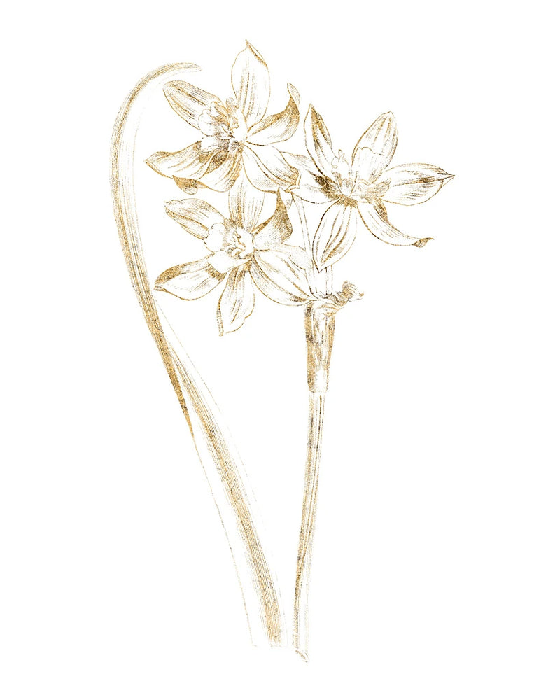 Gilded Botanical IV by Wild Apple Portfolio