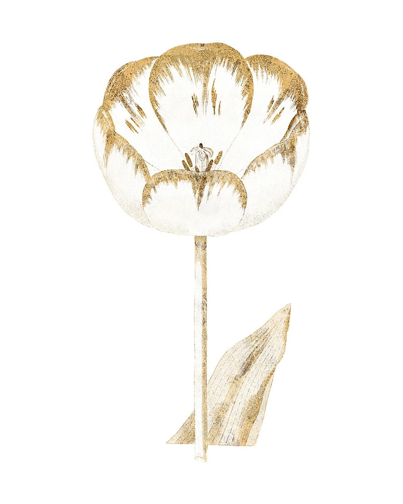 Gilded Botanical V by Wild Apple Portfolio