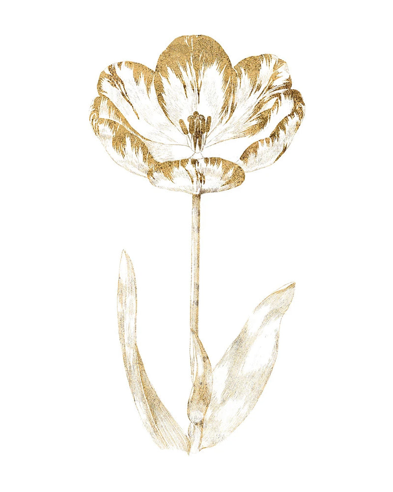 Gilded Botanical VI by Wild Apple Portfolio