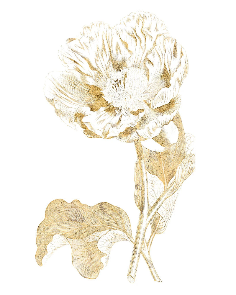Gilded Botanical VII by Wild Apple Portfolio