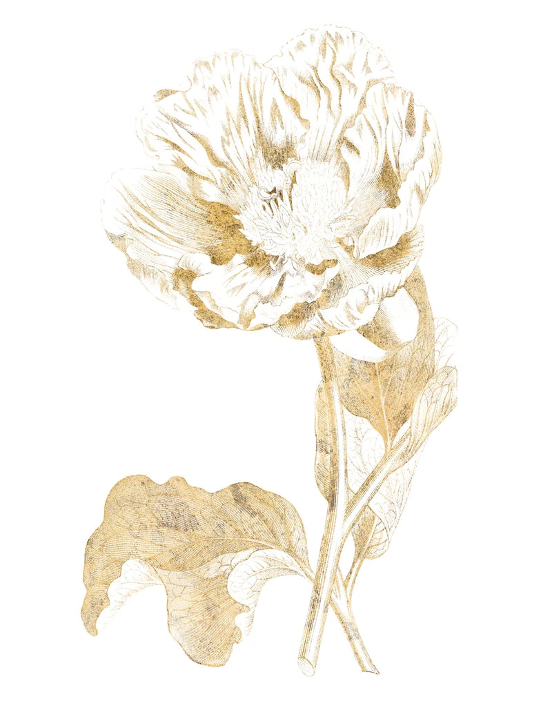 Gilded Botanical VII by Wild Apple Portfolio