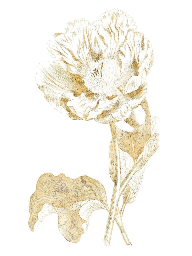 Gilded Botanical VII by Wild Apple Portfolio