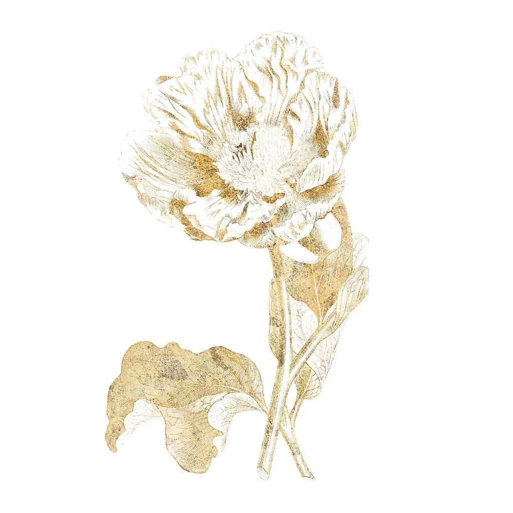 Gilded Botanical VII Sq by Wild Apple Portfolio. SKU 33667a. Archival Giclee Fine art print for wall decor.