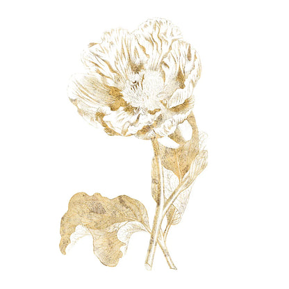 Gilded Botanical VII Sq by Wild Apple Portfolio. SKU 33667a. Archival Giclee Fine art print for wall decor.