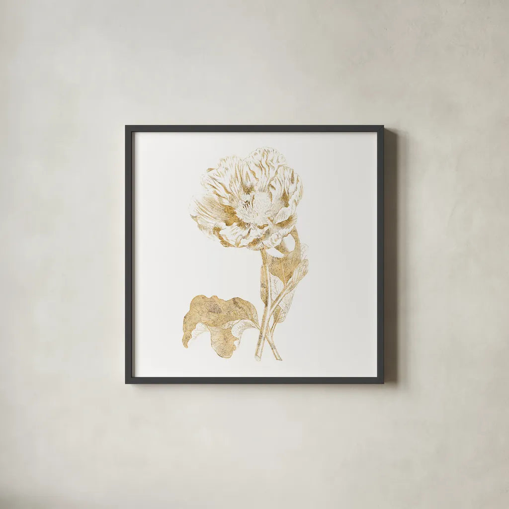 Gilded Botanical VII Sq by Wild Apple Portfolio. Shown in a sleek black glass frame for a contemporary gallery look. Available as an archival giclee rolled canvas, fine art paper, or poster print. SKU 33667a.