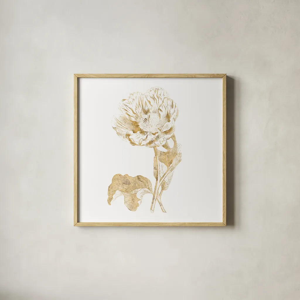 Gilded Botanical VII Sq by Wild Apple Portfolio. Shown in a natural wood glass frame for a timeless modern aesthetic. Available as an archival giclee rolled canvas, fine art paper, or poster print. SKU 33667a.
