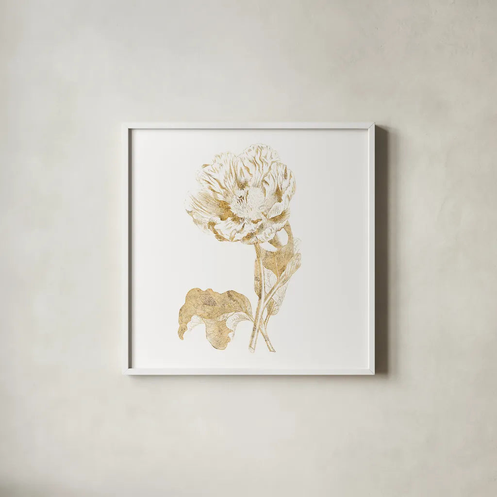 Gilded Botanical VII Sq by Wild Apple Portfolio. Shown in a crisp white glass frame for a clean and minimalist style. Available as an archival giclee rolled canvas, fine art paper, or poster print. SKU 33667a.