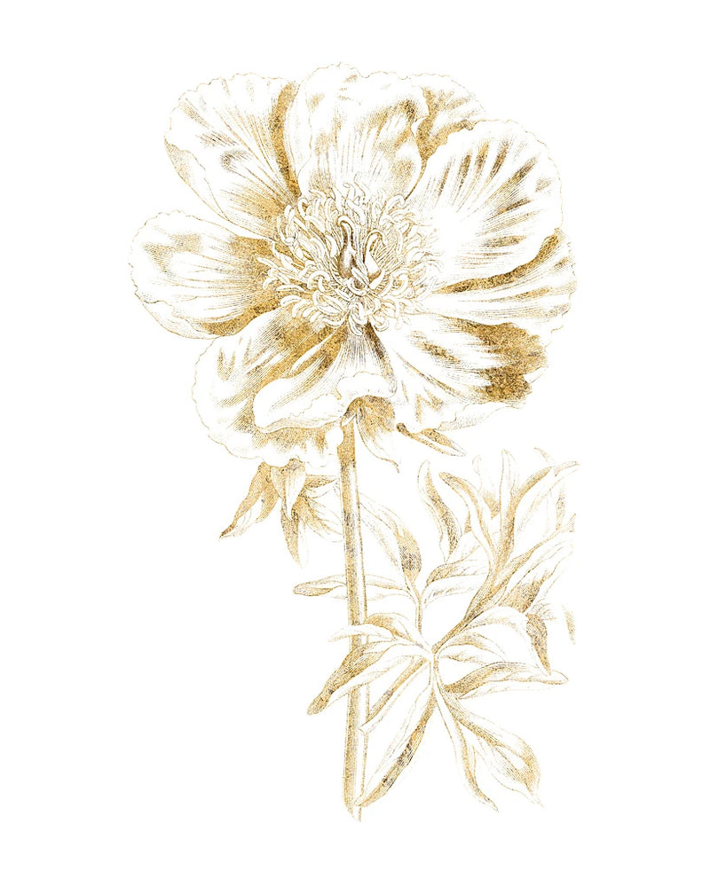 Gilded Botanical VIII by Wild Apple Portfolio