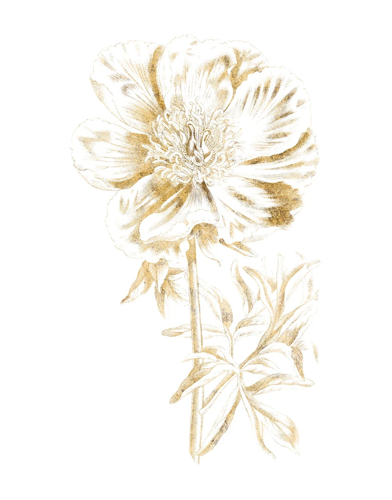 Gilded Botanical VIII by Wild Apple Portfolio