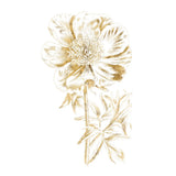 Gilded Botanical VIII Sq by Wild Apple Portfolio. SKU 33668a. Archival Giclee Fine art print for wall decor.